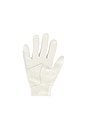 view 2 of 2 GANTS in White & Black