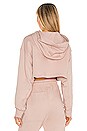 view 3 of 4 ASMC Crop Hoodie in Pear