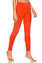 view 2 of 4 Training Tight in Blaze Orange