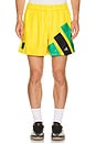 view 1 of 5 x Brain Dead x Disney Football Short in Bold Gold