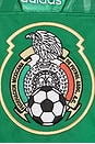 view 5 of 5 Mexico 4 World Cup Jersey in Bold Green