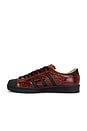 view 5 of 6 SNEAKERS SUPERSTAR in Fox Brown, Core Black, & Golbei
