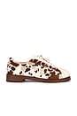 view 1 of 5 SNEAKERS SUPERSTAR in Brown
