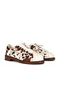 view 2 of 5 SNEAKERS SUPERSTAR in Brown