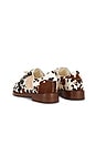 view 3 of 5 SNEAKERS SUPERSTAR in Brown