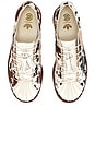 view 4 of 5 SNEAKERS SUPERSTAR in Brown