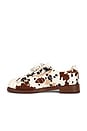 view 5 of 5 SNEAKERS SUPERSTAR in Brown