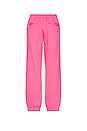 view 2 of 4 PANTALON SWEAT in Solar Pink