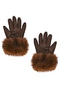 view 2 of 2 The Leather Glove in Chocolate