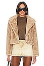 view 1 of 5 Faux Mink Jacket in Palomino