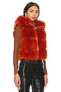 view 2 of 4 Faux Fur Hooded Vest in Orange