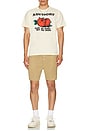 view 4 of 4 Vasectomy Short Sleeve Tee in Ecru