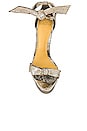 view 4 of 5 ESCARPINS CLARITA in Golden