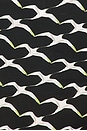 view 5 of 5 CHEMISE À COL CAMP X in Black Birds
