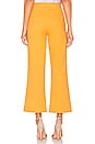 view 3 of 4 Lydie Trousers in Mangue