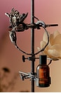 view 4 of 5 Aurner Eau De Parfum in 