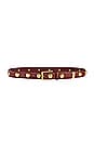 view 1 of 2 Studded Belt in Red & Gold