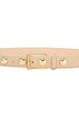 view 2 of 2 Studded Belt in Beige & Gold