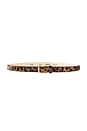 view 1 of 1 Leopard Belt in Leopard