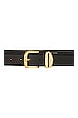 view 2 of 2 Black & Gold French Rope Belt in Black