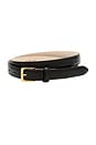 view 2 of 2 No. 6 Belt in Black & Gold