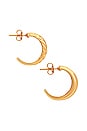 view 2 of 3 Anna Earrings in Gold