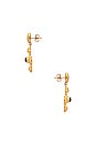 view 2 of 3 BOUCLES D'OREILLES AURORA in Gold & Tiger Eye 