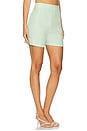 view 2 of 6 x REVOLVE Flat Front Mini Short in Pistachio