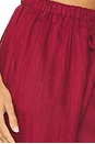 view 6 of 6 PANTALON in Burgundy