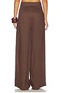 view 4 of 6 Linen Palazzo Trouser in Brown