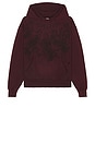 view 4 of 4 SWEAT À CAPUCHE in Burgundy Vapor Wash