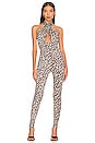 view 1 of 3 Wyn Catsuit in Spring Leopard