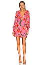 view 1 of 3 Castiel Mini Dress in Pink Bouquet