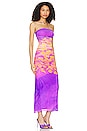 view 2 of 3 Marlo Maxi Dress in Placed Tropical Floral