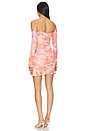 view 5 of 6 Adrian Dress in Nude Marble Floral