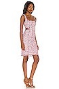 view 2 of 3 Alida Dress in Red & Aqua Ditsy