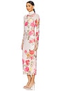 view 5 of 8 Shailene Mesh Dress in Falling Roses