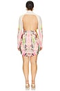 view 10 of 10 Lavinia Mini Dress in Grunge Lace
