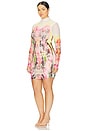 view 8 of 10 Lavinia Mini Dress in Grunge Lace