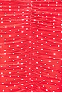 view 7 of 7 x REVOLVE Peyton Dress in Risky Micro Dot