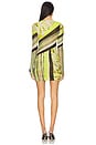 view 7 of 8 Mirza Dress in Wing Stripe