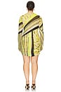 view 8 of 8 Mirza Dress in Wing Stripe