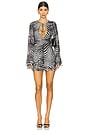view 1 of 7 Kori Dress in Desert Zebra