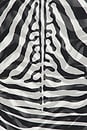 view 7 of 7 Kori Dress in Desert Zebra