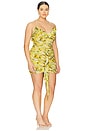 view 4 of 6 Mackie Dress in Lime Wing