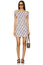 view 1 of 3 Agni Dress in Rose Dot