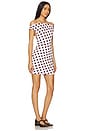view 2 of 3 Agni Dress in Rose Dot