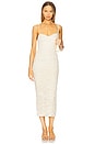 view 1 of 4 Tosca Leaf Lace Dress in Birch