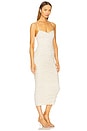 view 2 of 4 Tosca Leaf Lace Dress in Birch