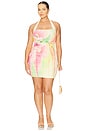 view 2 of 3 Bonnie Dress in Butter Peony